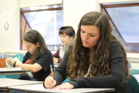 Academic programs support school in stepping over achievement gap