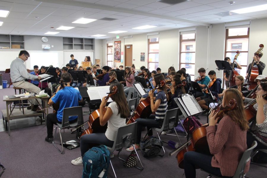 Students in Daniel Broome's seventh-period Orchestra class will apply the skills learned there to the sciences and the humanities.