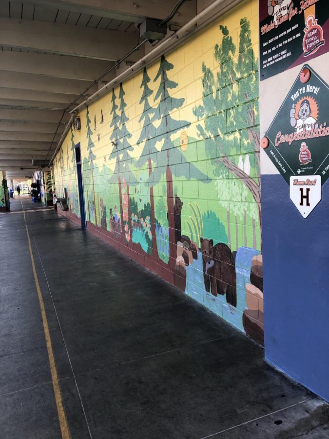 Empty+halls+line+Hawes+Elementary+School%2C+which+is+set+to+close+at+the+end+of+this+school+year+due+to+budget+cuts
