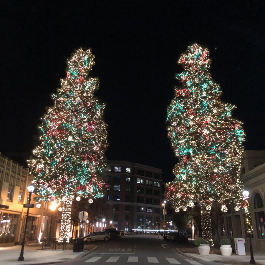 Redwood City trees at night