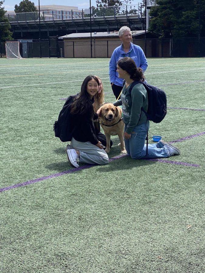 Dogs on the quad: tail wags taim finals stress