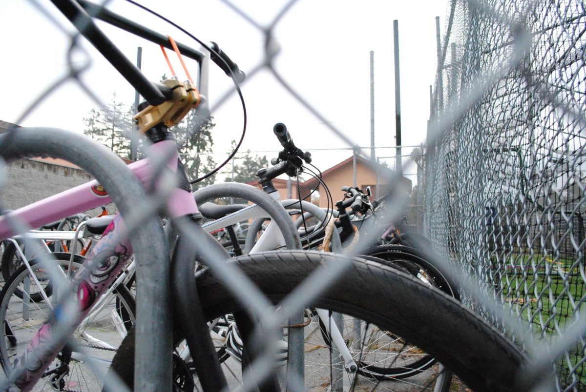 Bikes in Sequoia Bike Cage, Photo by Lucie Archambault 