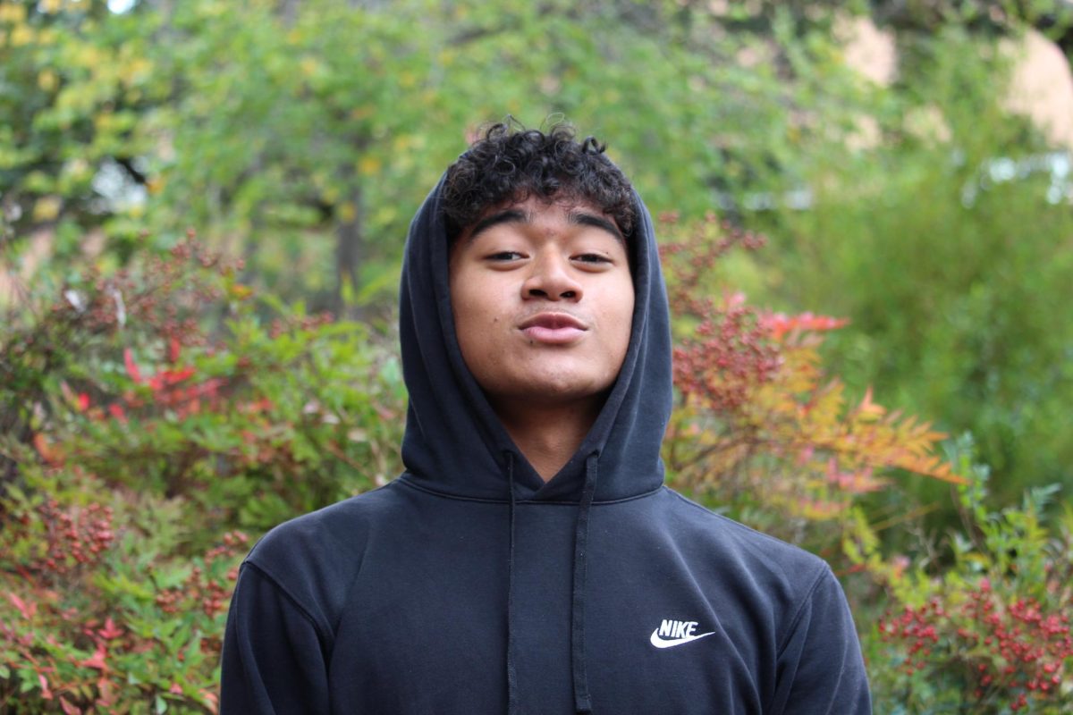 Soane Sili