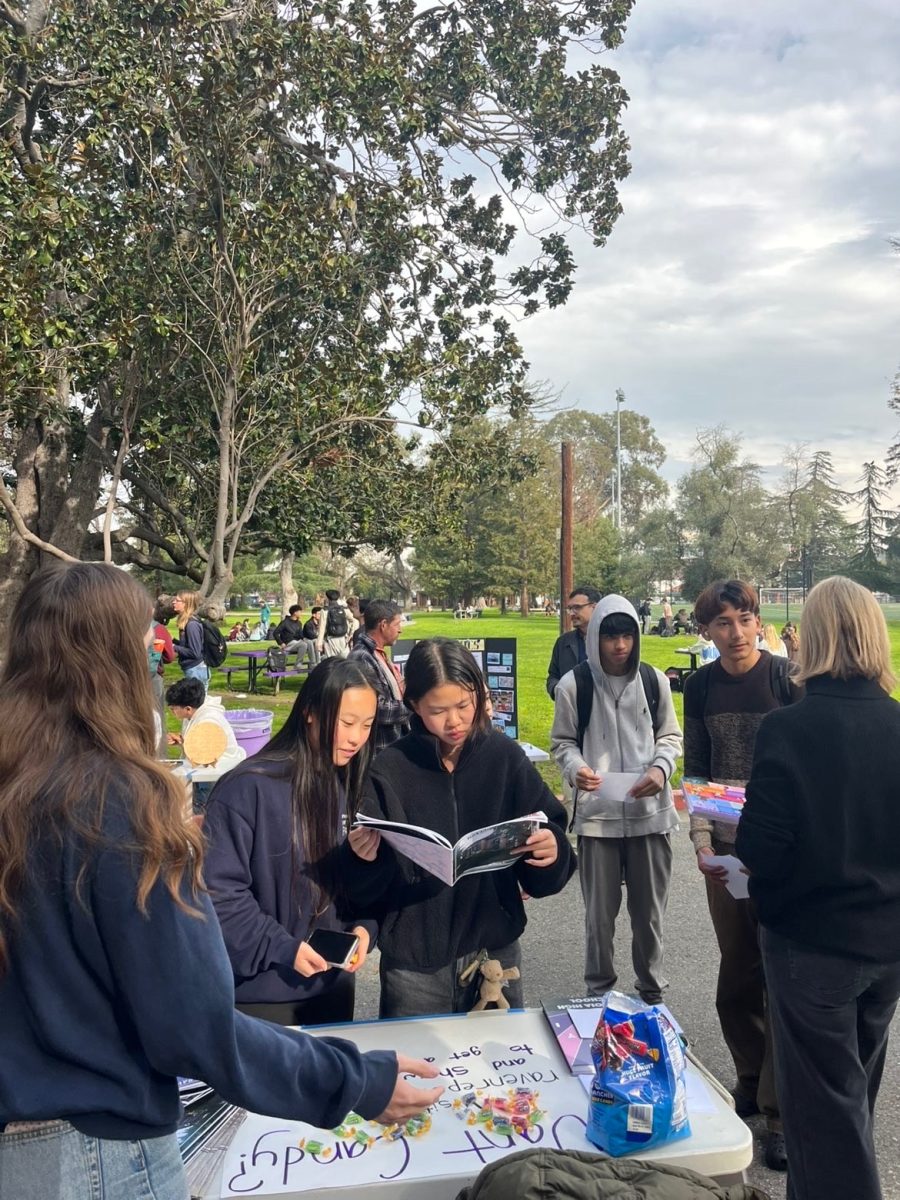 Sequoia's second annual electives fair