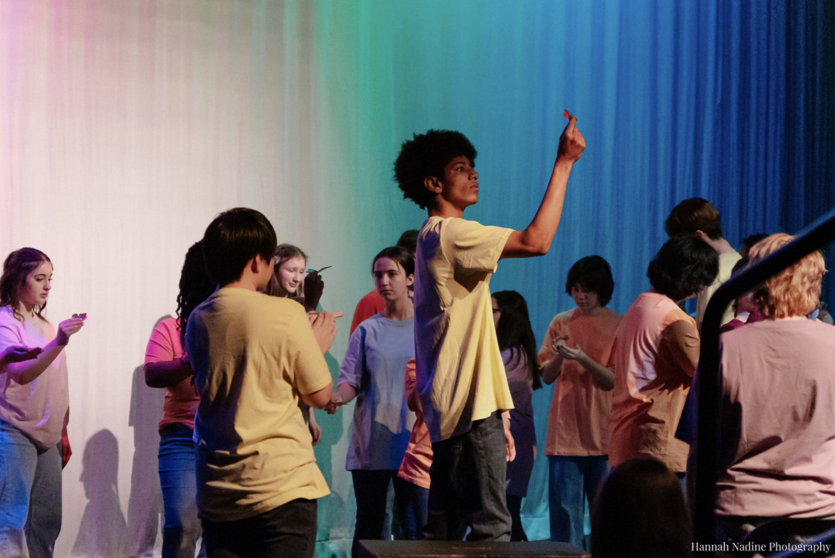 Taken from Lenaea High School Theater Festival Photo Gallery