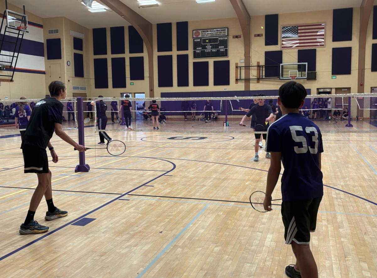 Badminton PALs